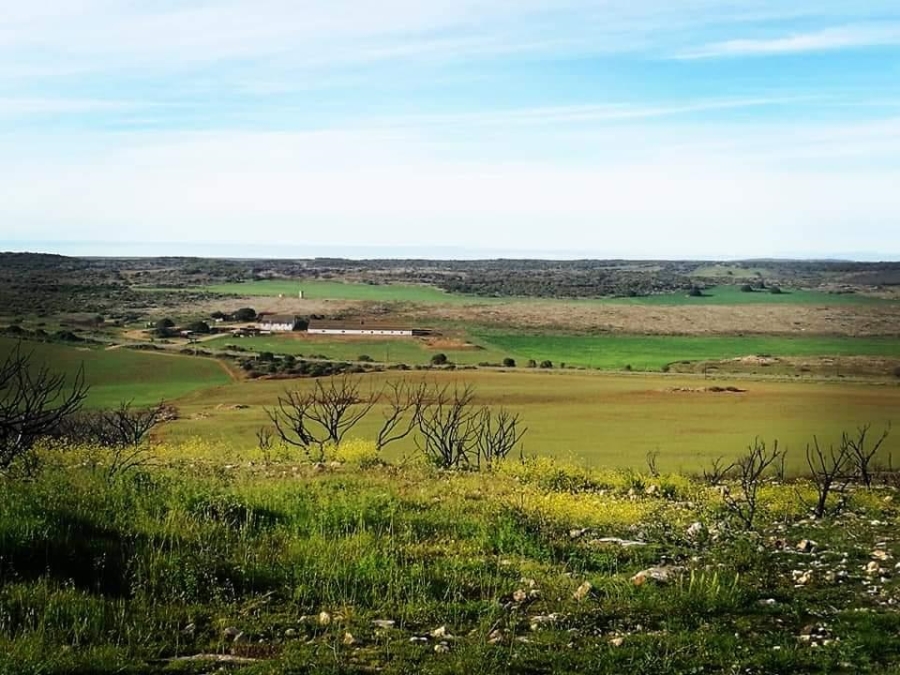 0 Bedroom Property for Sale in Riversdale Rural Western Cape